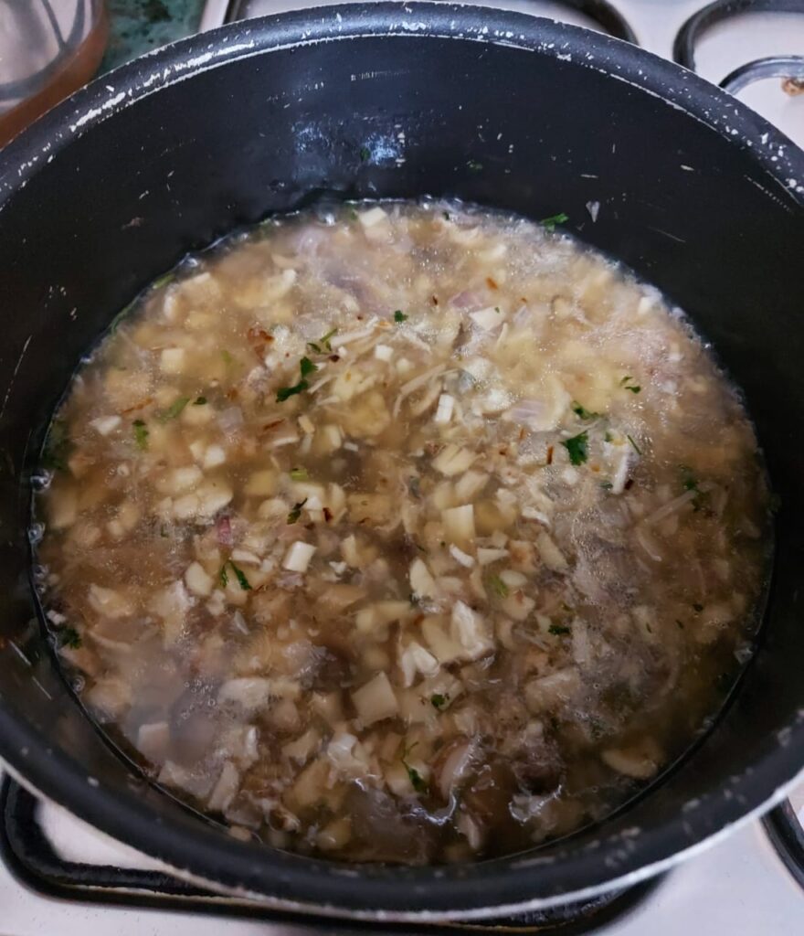 Onion and mushroom stock curry